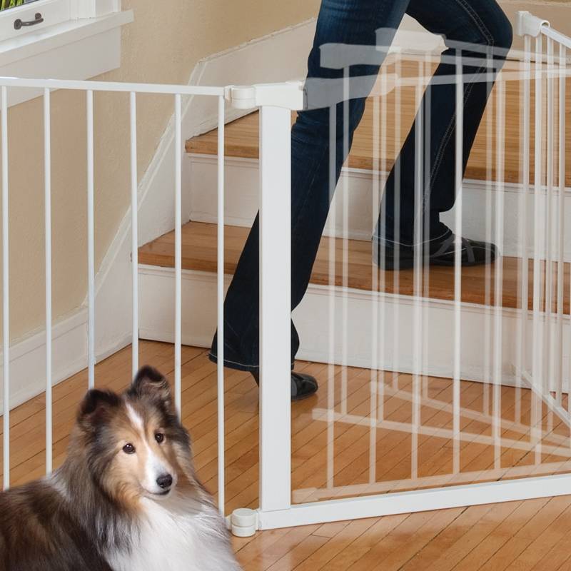 A man is stepping upstairs and a dog is lying on the ground. They are separated by the pet safety gate.